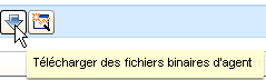 Bouton Télécharger des fichiers binaires d'agent