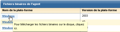 Affichage des fichiers binaires de l'agent