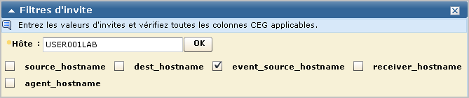 Exemple d'invite - Affichage de la recherche d'hôte