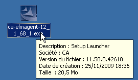 Raccourci du lanceur de l'installation de l'agent
