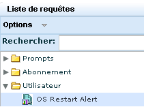 Le dossier Utilisateur situé sous la Liste de requêtes affiche l'alerte que vous avez créée sur la base de la requête d'événement d'autosurveillance, intitulée "Détail de tous les événements du système".
