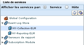 Sélectionnez NY-Collecte-ELM dans le Magasin de journaux d'événements.