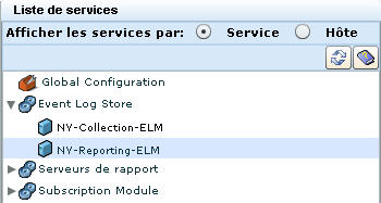 Dans la Liste de services, sélectionnez le serveur de rapports.