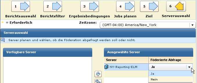 Wählen Sie im Assistenten "Berichtsplanung" beim Schritt "Serverauswahl" für "Verbundabfrage" "Ja".
