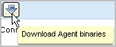 Download Agent binaries button