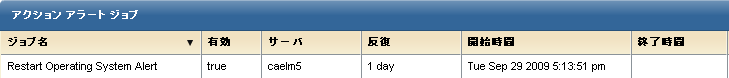 オペレーティング システムの再起動アラート ジョブ名が、［アクション アラート ジョブ］に表示されます。