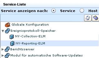Wählen Sie den Berichtsserver in der Liste "Services" aus.