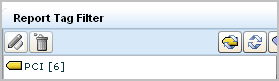 The example shows only the PCI report tag.