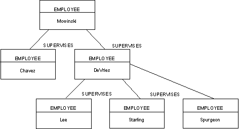 Modeling Hierarchies and Networks