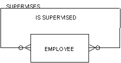 Modeling Hierarchies and Networks (4)