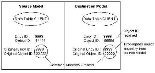 Migration Replaces Object When Special Equivalency Rule Applies