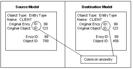 How Is Equivalence Between Objects Determined?