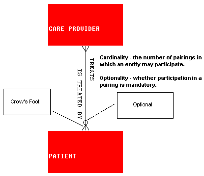 Cardinality and Optionality within Relationships