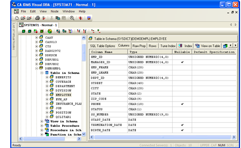 The columns for the selected table are shown in the Columns tab.