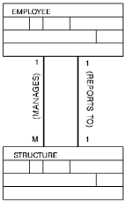 An entity having two relationships with the primary entity.