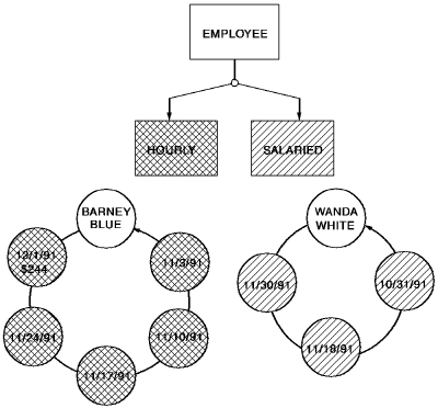 Displays the different child entity types that are mutually exclusive.