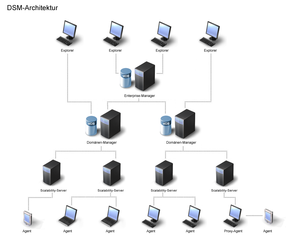 Abbildung der DSM-Architektur
