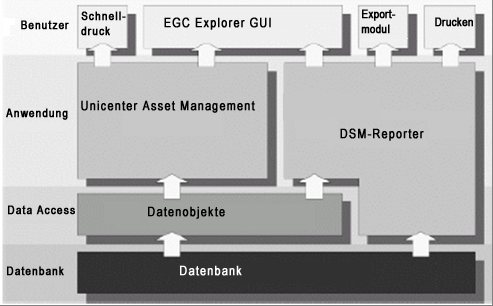 Abbildung von DSM-Reporter in Asset Management
