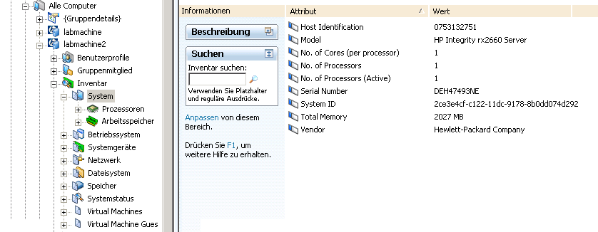Screenshot, der Inventarinformationen für einen virtuellen Host anzeigt