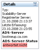 Screenshot, der den ADS-Server-Status im Portlet "Details" anzeigt