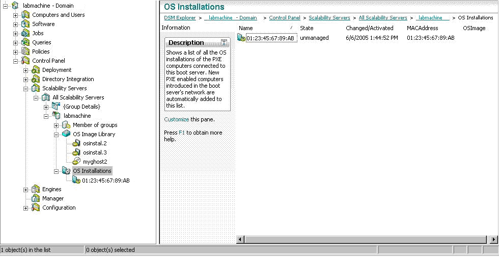 Screenshot showing the Boot Server view in the DSM Explorer