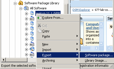 Screenshot showing the Export to Software Package option