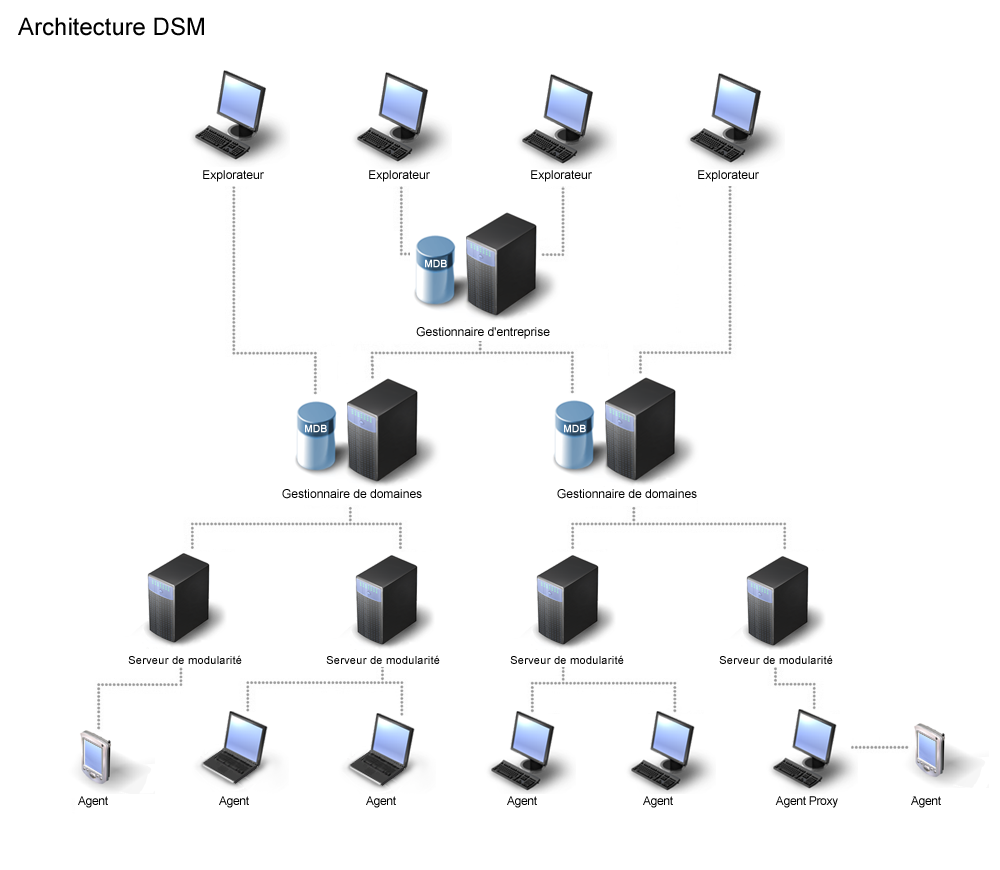 Illustration présentant l'architecture DSM