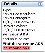 Capture d'écran montrant l'état du serveur ADS dans le portlet Détails