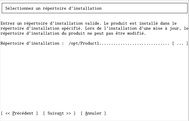 Capture d'écran affichant un échantillon de boîte de dialogue d'installation VT100