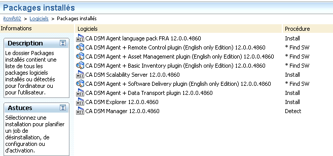 Capture d'écran montrant des packages installés sur un ordinateur désigné souhaité