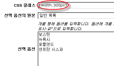 CSS 스타일 필드