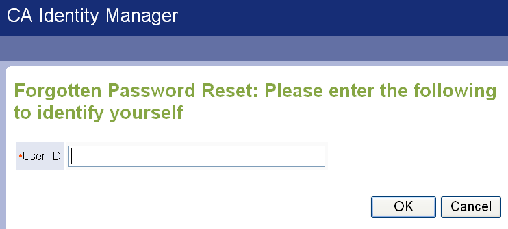 Sample Forgotten Password Identification Screen