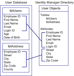 Mapping attributes in a User Database to a Directory