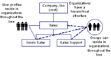 diagram shows the hierarchical directory structure which contains a parent organization (root) and suborganizations.