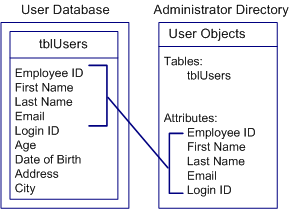 Mapping attributes to an Administrator Directory