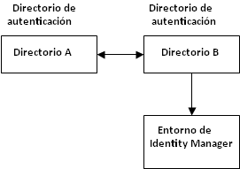 El diagrama muestra que un directorio de autenticación se conecta a un entorno de Identity Manager a través de un directorio de autorizaciones