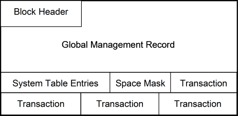 Internal structure of a CA MIM control file