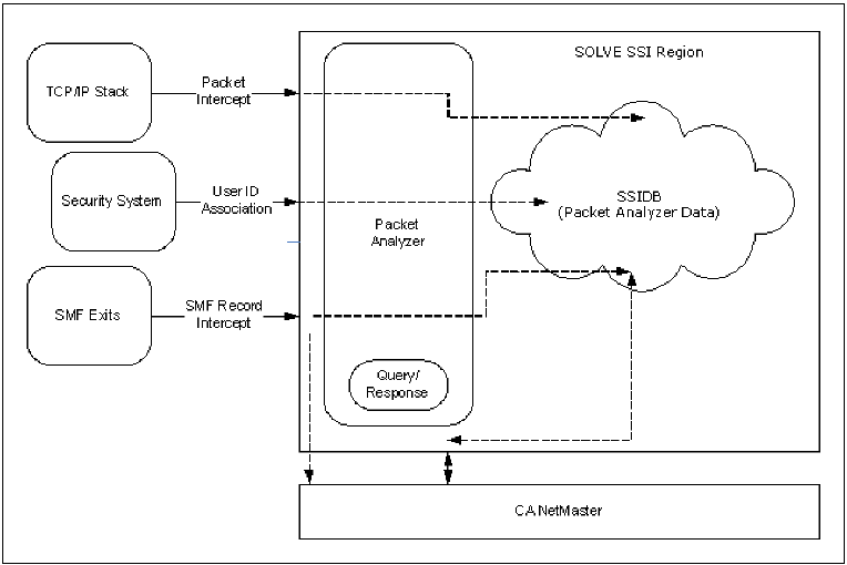 Packet Analyzer information flow