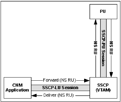 This illustration shows the flow of the sessions used by Network Services RUs.