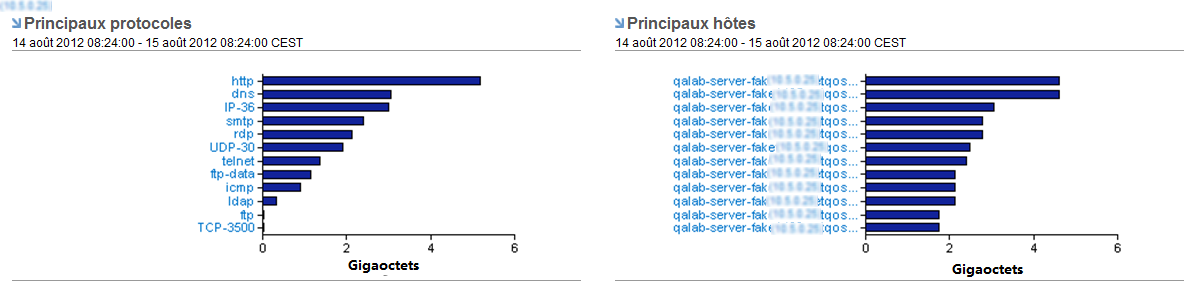 Les vues Présentation d'entreprise contiennent des données sur les protocoles et les hôtes les plus utilisés.