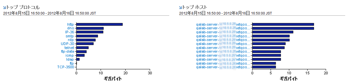［企業の概要］ビューには、頻繁に使用されているプロトコルとホストに関するデータが含まれます。