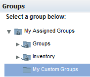 Select the My Custom Groups node to add groups to the My Assigned Groups tree.
