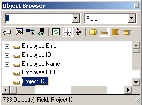 PLEX--Specifying Attributes for the Project Entity