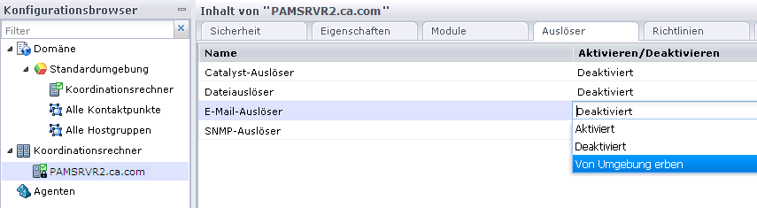 Wählen Sie "Von Umgebung erben" aus der Drop-down-Liste.