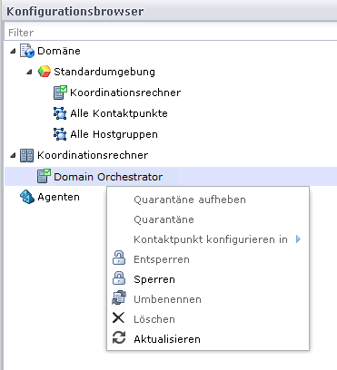 Wenn Sie einen Koordinationsrechner unter dem Knoten "Koordinationsrechner" auswählen, sind die angezeigten Details anstatt der Kontaktpunkt für den Host relevant.