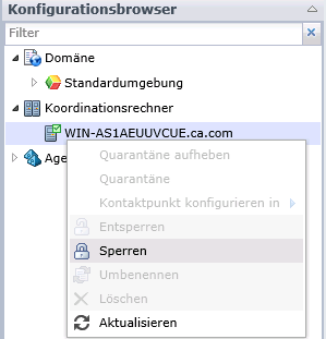 Welche Befehle in einem Drop-down-Feld verfügbar sind ist davon abhängig, ob der ausgewählte Koordinationsrechner der Domänen-Koordinationsrechner oder ein anderer Koordinationsrechner ist.