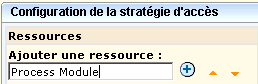 Dans le champ Ajouter une ressource, saisissez un ID de contrôle d'accès (par exemple : Module de processus) et cliquez sur Ajouter.