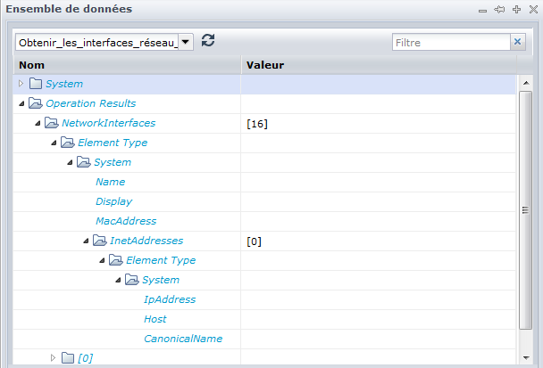 Exemple de mappage de valeurs : Interfaces réseau et InetAddresses