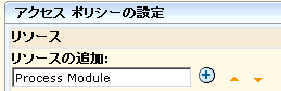 ［リソースの追加］フィールドで、アクセス制御 ID （プロセス モジュールなど）を入力し、［追加］をクリックします。