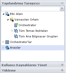 Tarayıcı paleti Etki Alanı'nı Varsayılan Ortam ve varsa kullanıcı tarafından eklenen diğer Ortamlar ile görüntüler.